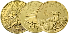 Moneda de 1 oz de Oro (de Nuestra Elección)