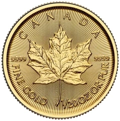 Maple Leaf Canadiense de 1/20 oz de Oro 2025